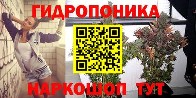 spice Мариинск