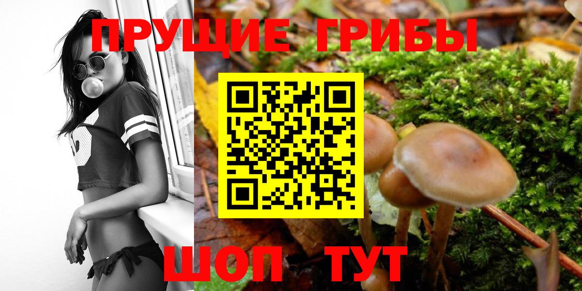 магазин продажи наркотиков  Псилоцибиновые грибы Psilocybe  Вход с VPN  Городец 