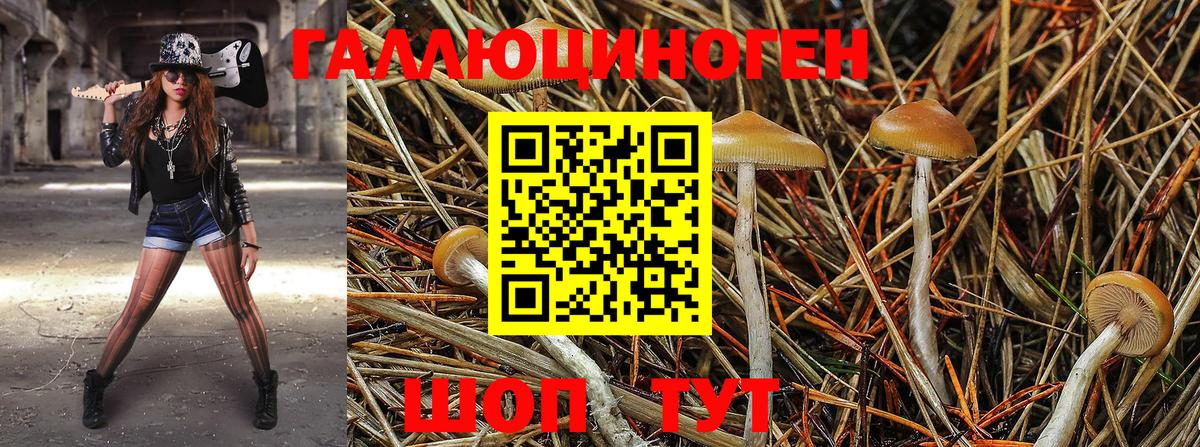 Псилоцибиновые грибы MAGIC MUSHROOMS Городец